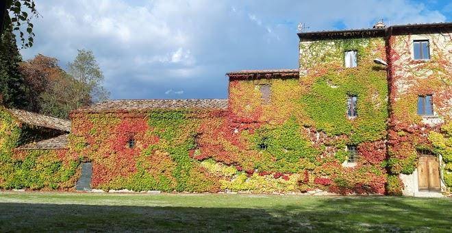 Thatsamore toscana