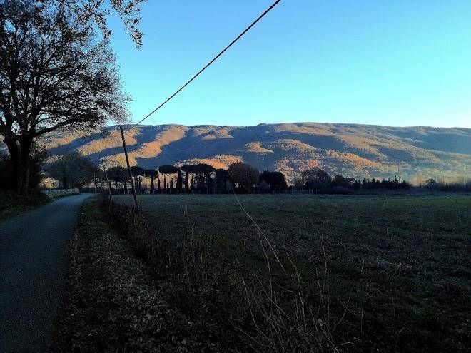 Valecchie