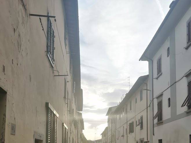 Arno dreams