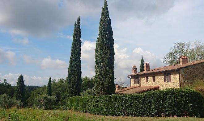 Azienda agricola la scopa