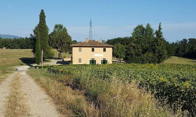 Azienda agricola s leo s n c