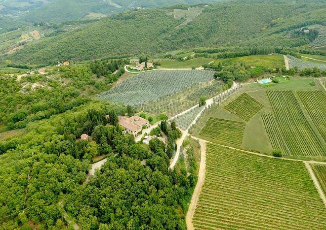 Azienda Vinicola Le Filigare Image