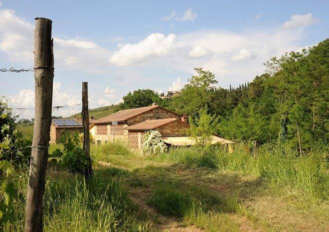 B&b il cielo bio