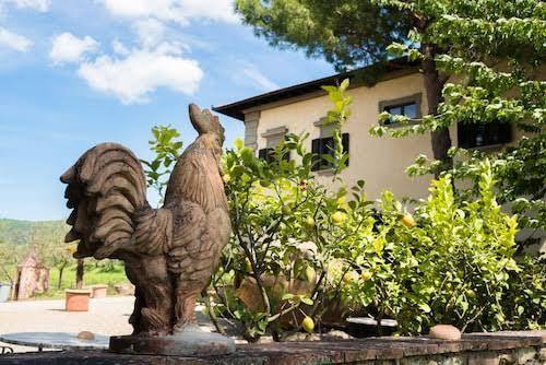Agriturismo corte di valle
