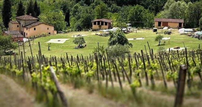 Fattoria dell'orto degli ulivi