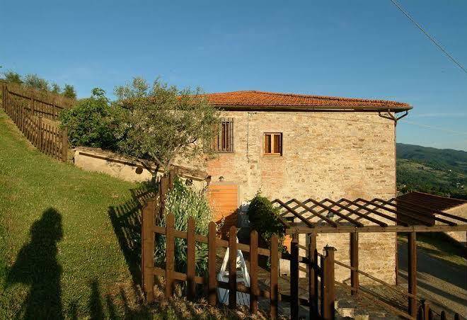 Il colognolo