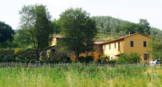 La burra di vinci