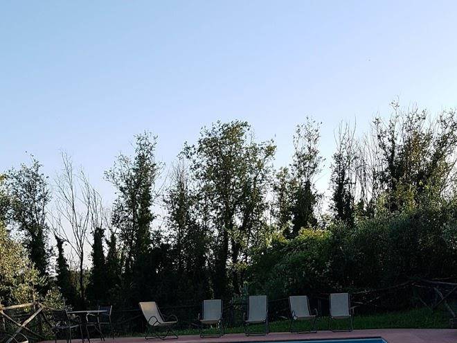 La selva