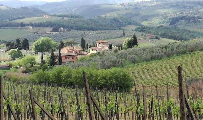 Podere la cava