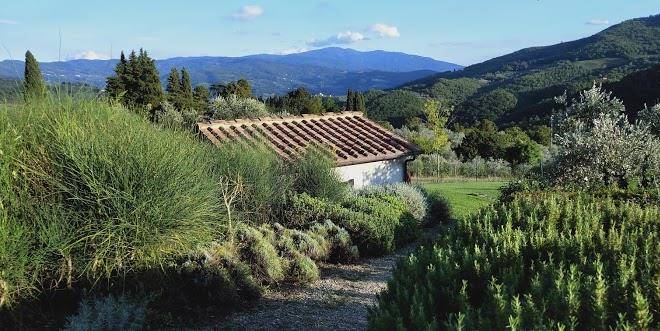 The estate of petroio tuscany