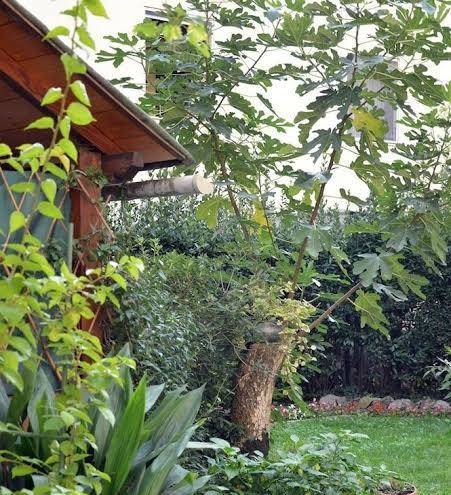 Toscani Da Sempre Image