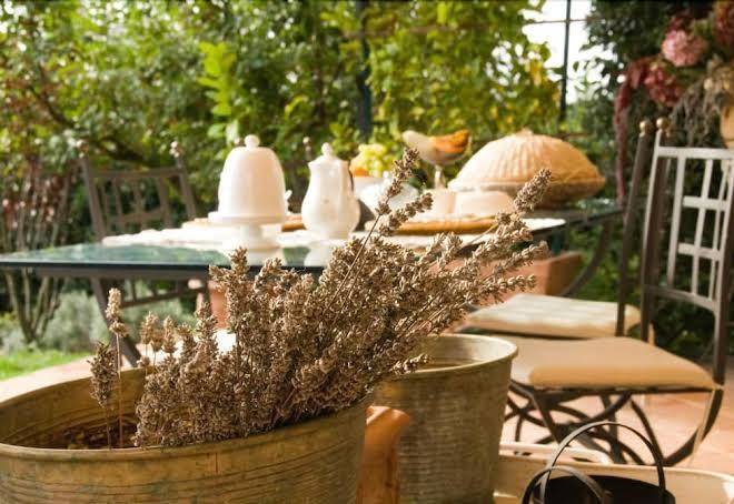 Un angolo di provenza in chianti