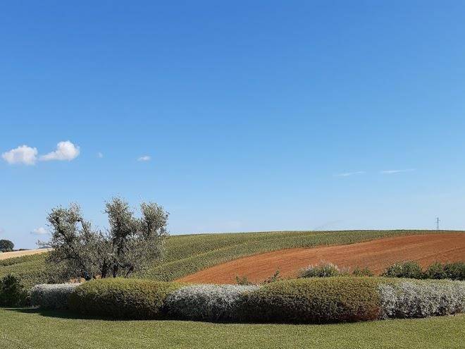 Agriturismo colle oliveto