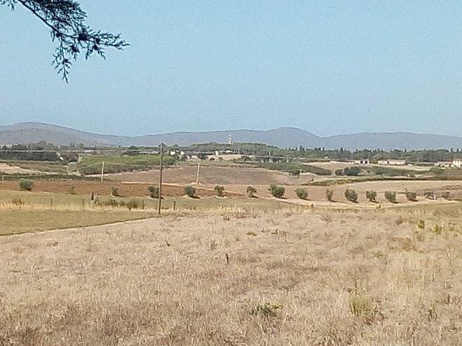 Agriturismo doganella