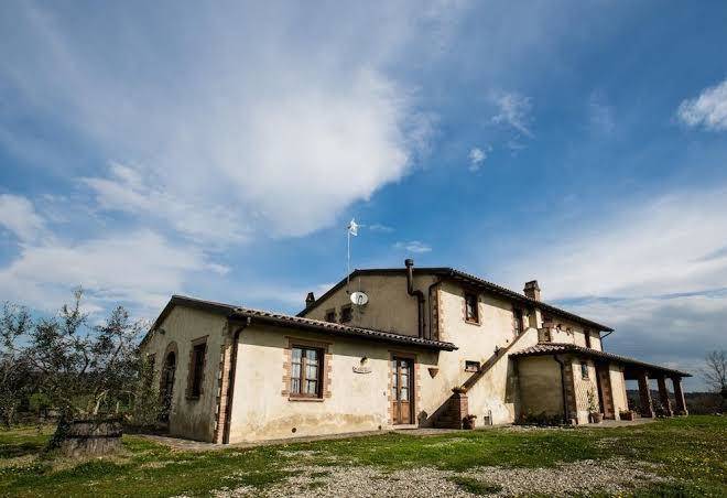 Agriturismo greppa bovi