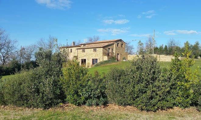 Agriturismo il selvatico