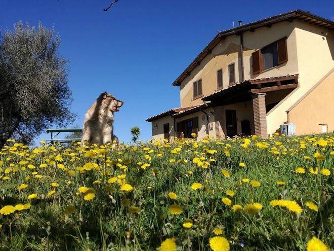 Agriturismo la svolta