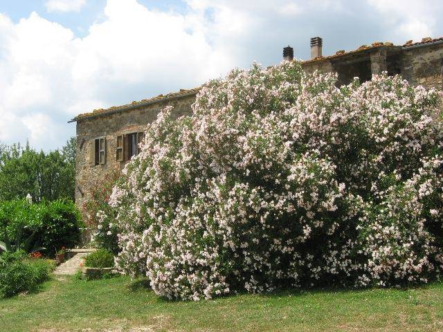 Agriturismo landgut podere carbone