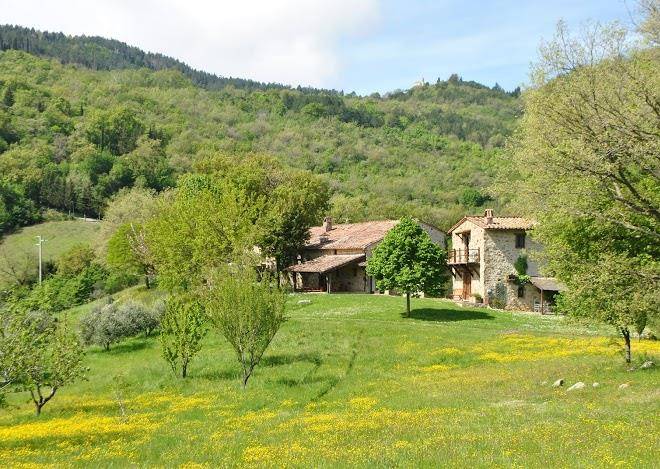 Agriturismo le pianore