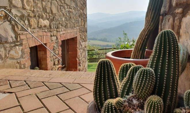 Agriturismo podere del vescovo
