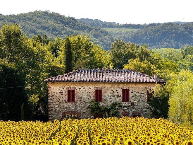 Agriturismo vicino le terme di saturnia il girasole del terzuolo