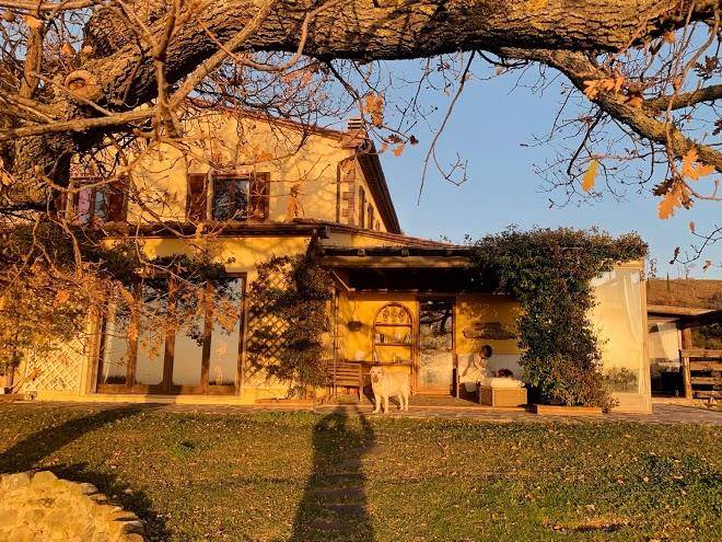 Az Agricola Biologica Il Troscione Image