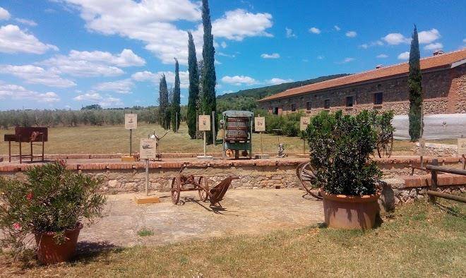 Bio agriturismo corte degli ulivi