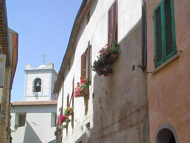 Chiocciola di maremma