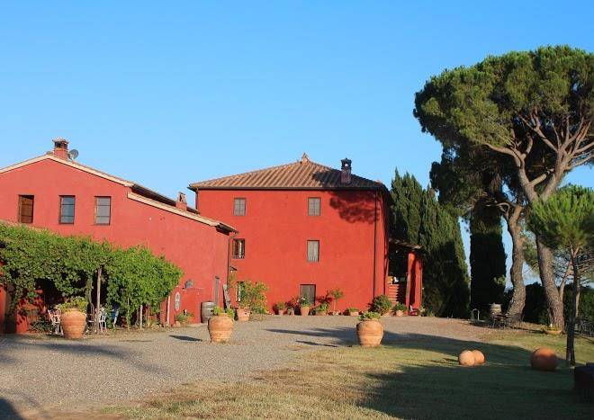 Civettaio
