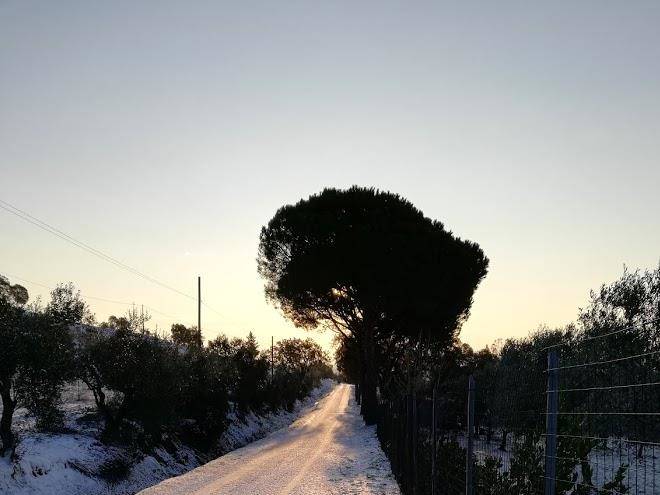 La cisterna