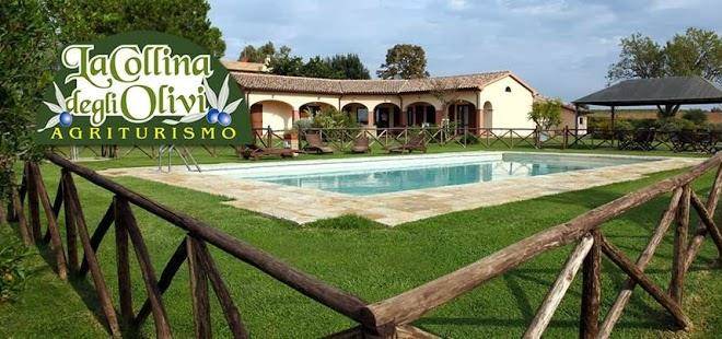 La collina degli olivi