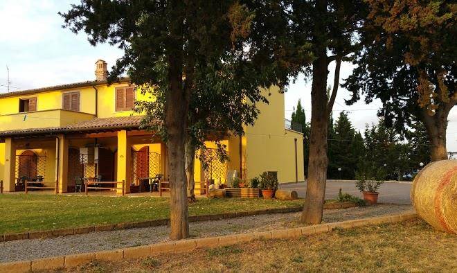 La dolce collina