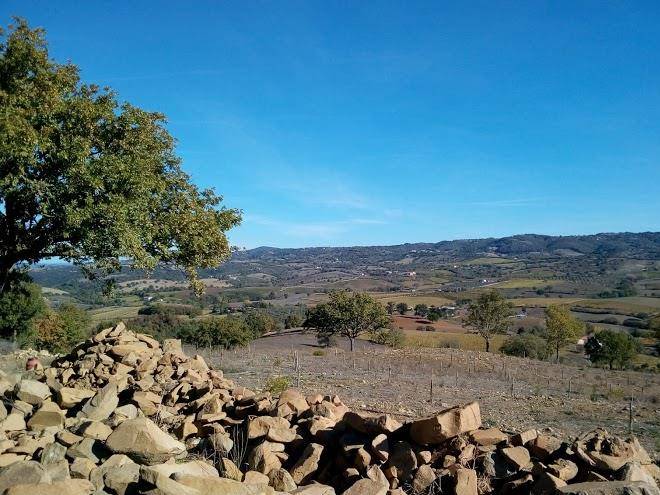 La porcilaia