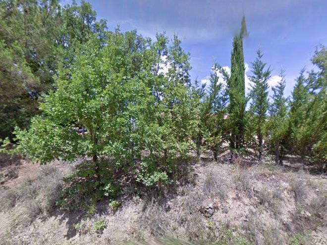 Podere bellumori
