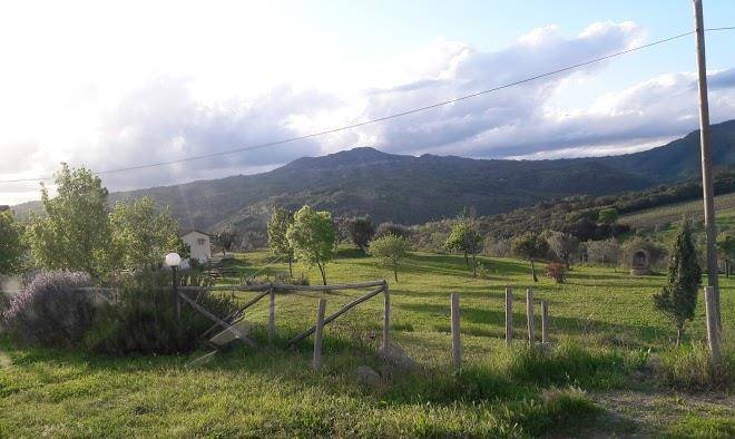 Podere dei maddii