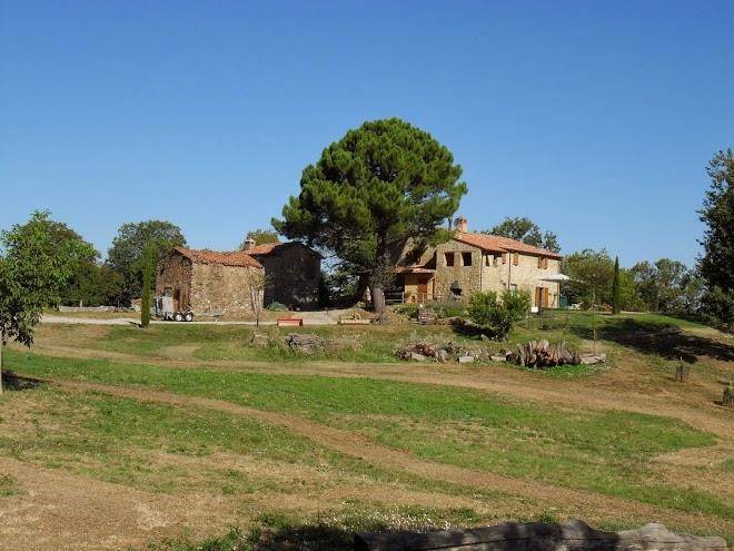 Podere faeta