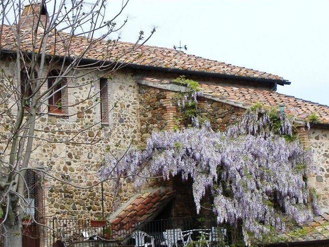 Podere santo stefano