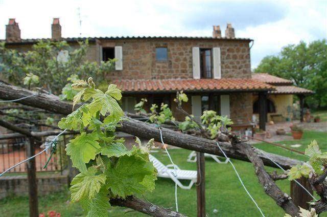 Poggio dell'olivo
