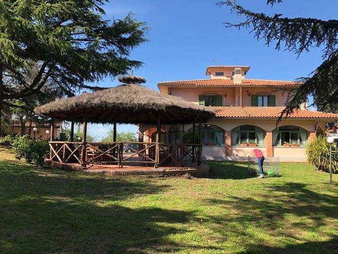 Ristorante la tana del cinghiale