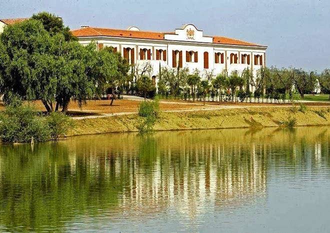 Rocca Di Montemassi Image