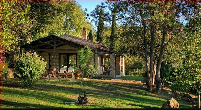 Rustico con piscina saturnia affittasi