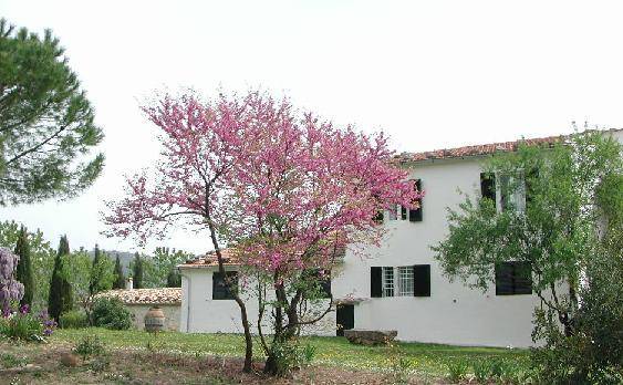 S leonardo agriturismo vignagrande a saturnia