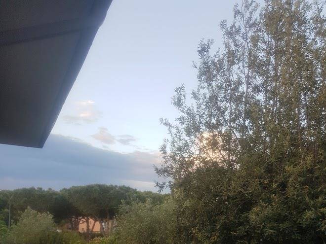 Terra etrusca