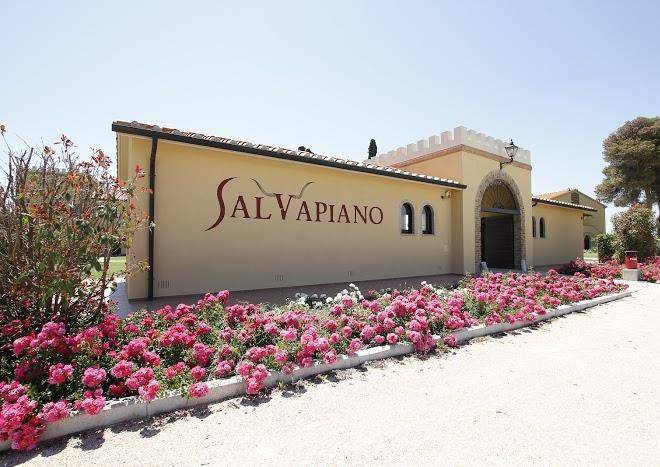 Cereale salvapiano holiday ranch