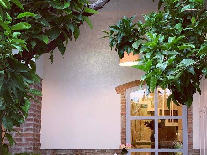 Il giardino dei limoni