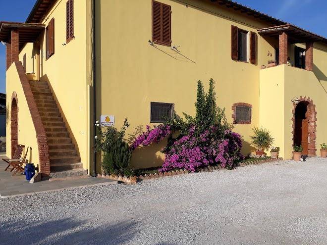 La nana gialla