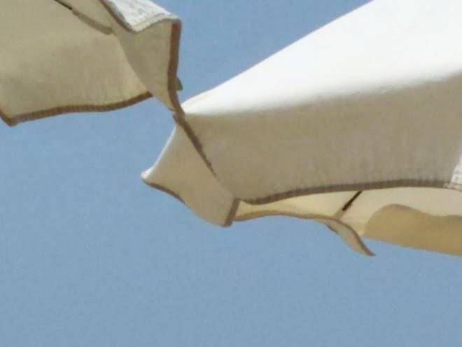 La zattera camere