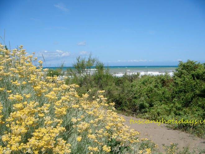 Vacanze toscane sas di moscardini anna chiara & c
