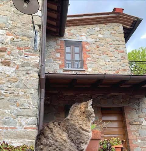 Agriturismo il pino