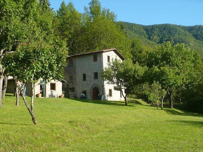 Agriturismo la radice
